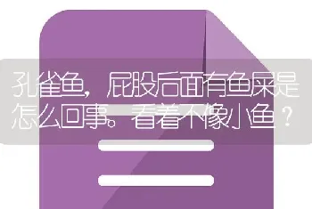 孔雀鱼，屁股后面有鱼屎是怎么回事。看着不像小鱼？