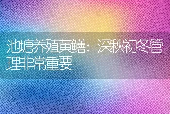 池塘养殖黄鳝：深秋初冬管理非常重要