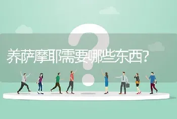 养萨摩耶需要哪些东西？