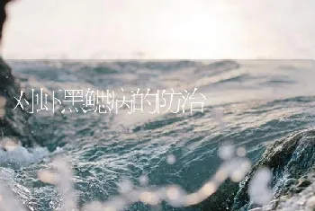 对虾黑鳃病的防治