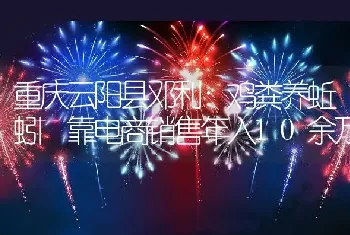 重庆云阳县邓利：鸡粪养蚯蚓 靠电商销售年入10余万