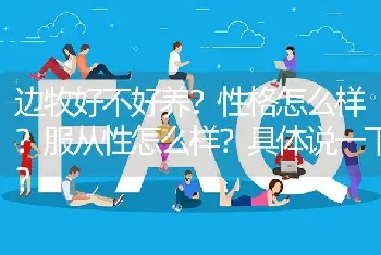 边牧好不好养？性格怎么样？服从性怎么样？具体说一下？