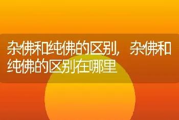 杂佛和纯佛的区别，杂佛和纯佛的区别在哪里