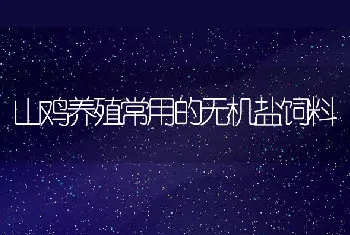 稻田高密度养殖泥鳅的技术