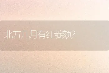 北方几月有红靛颏？