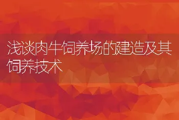 浅谈肉牛饲养场的建造及其饲养技术