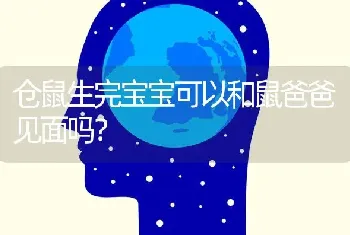 仓鼠生完宝宝可以和鼠爸爸见面吗？