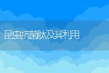 母兔产死胎或产不成形的肉球是什么原因