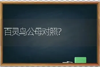 百灵鸟公母对照？