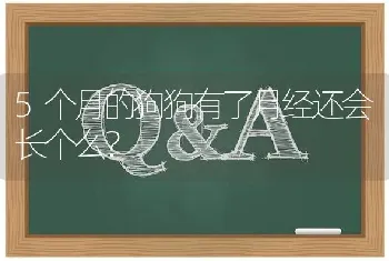 5个月的狗狗有了月经还会长个么？