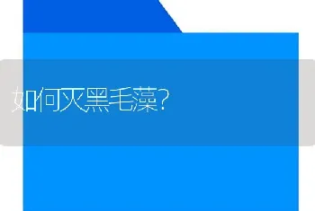 如何灭黑毛藻？