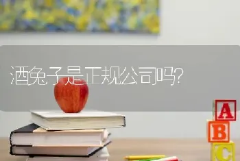 酒兔子是正规公司吗？