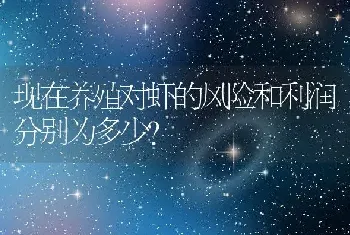 现在养殖对虾的风险和利润分别为多少？