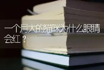 一个月大的猫咪为什么眼睛会红？