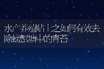 水产养殖贴士之如何有效去除螃蟹塘中的青苔