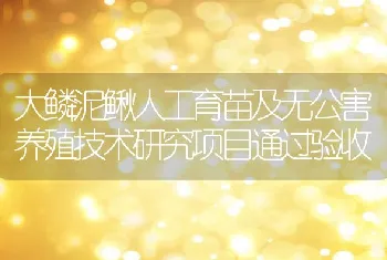 大鳞泥鳅人工育苗及无公害养殖技术研究项目通过验收