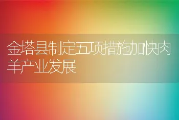 金塔县制定五项措施加快肉羊产业发展