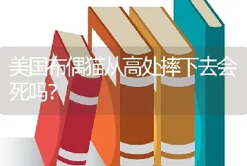 美国布偶猫从高处摔下去会死吗？