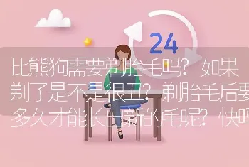 比熊狗需要剃胎毛吗?如果剃了是不是很丑?剃胎毛后要多久才能长出新的毛呢?快吗？