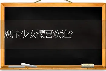 魔卡少女樱喜欢谁？