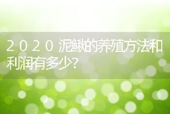 2020泥鳅的养殖方法和利润有多少？