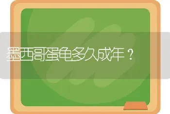 墨西哥蛋龟多久成年？