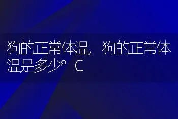 狗的正常体温，狗的正常体温是多少°C