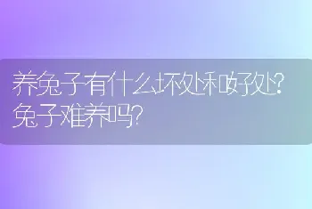 养兔子有什么坏处和好处?兔子难养吗？