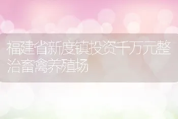 福建省新度镇投资千万元整治畜禽养殖场