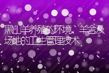 黑山羊养殖的环境、羊舍及场地的卫生管理技术