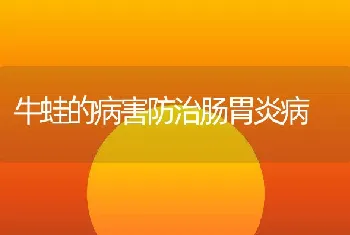 牛蛙的病害防治肠胃炎病