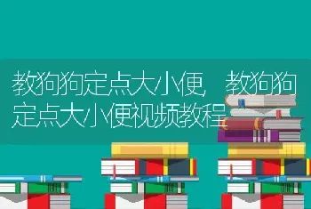 教狗狗定点大小便，教狗狗定点大小便视频教程