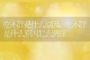 吃不胖是什么原因，吃不胖是什么原因怎么调理