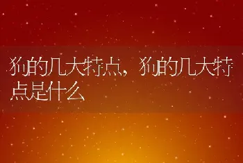 狗的几大特点，狗的几大特点是什么