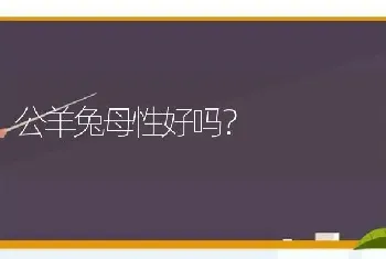 猫咪做完绝育手术后多久可以给洗澡？