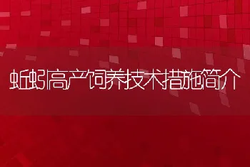 蚯蚓高产饲养技术措施简介