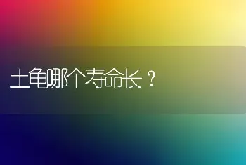 土龟哪个寿命长？