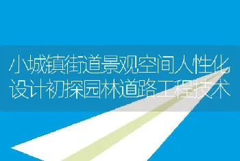 小城镇街道景观空间人性化设计初探园林道路工程技术