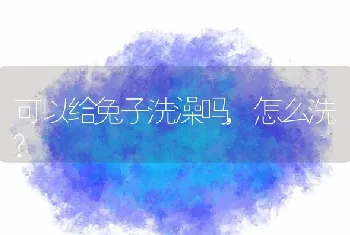 可以给兔子洗澡吗，怎么洗？