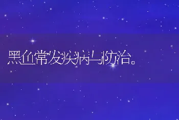 黑鱼常发疾病与防治。