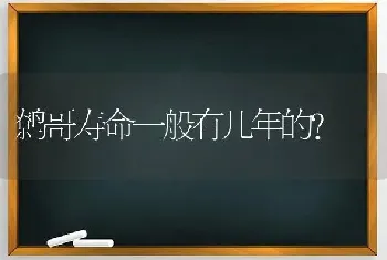 鹩哥寿命一般有几年的？