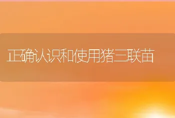 青虾病害冬季防治小措施