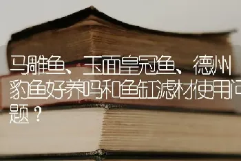 马雕鱼、玉面皇冠鱼、德州豹鱼好养吗和鱼缸滤材使用问题？