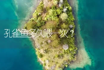 孔雀鱼多久喂一次？