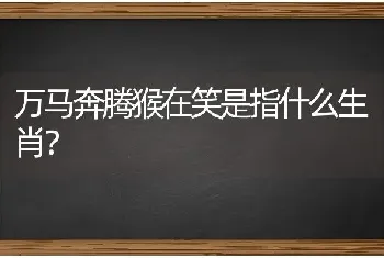 万马奔腾猴在笑是指什么生肖？