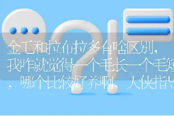 金毛和拉布拉多有啥区别，我咋就觉得一个毛长一个毛短，哪个比较好养啊，大侠指导下？