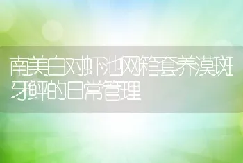 小水域养殖澳洲淡水龙虾应注意的事项