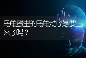 乌龟蛋里的乌龟动了是要出来了吗？