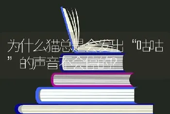 为什么猫总是会发出“咕咕”的声音不会停的？