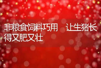 家庭养花易受哪些病虫危害？家庭养花病虫害防治有什么特点？